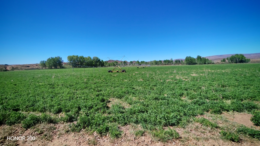 4 Bedroom Property for Sale in Middelburg Rural Eastern Cape